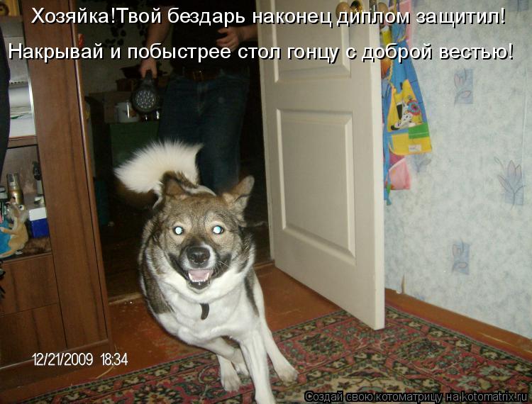 Котоматрица: Хозяйка!Твой бездарь наконец диплом защитил! Накрывай и побыстрее стол гонцу с доброй вестью!