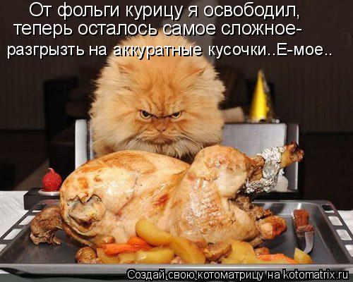 Котоматрица: От фольги курицу я освободил, теперь осталось самое сложное- разгрызть на аккуратные кусочки..Е-мое..