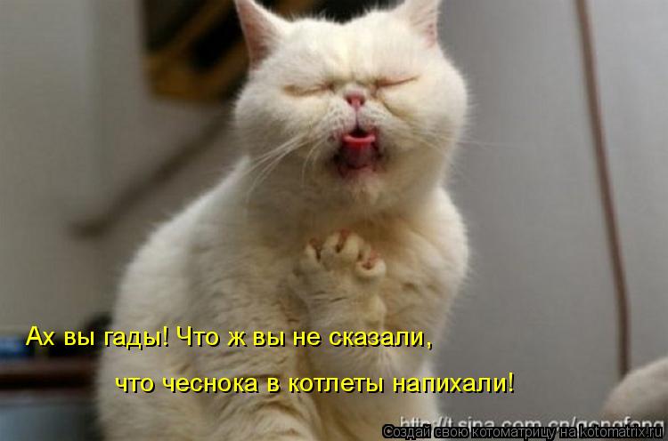 Котоматрица: Ах вы гады! Что ж вы не сказали, что чеснока в котлеты напихали!