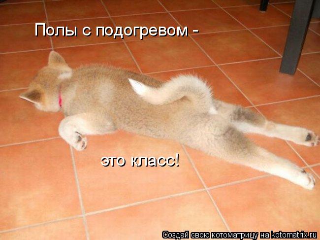 Котоматрица: Полы с подогревом -  это класс!