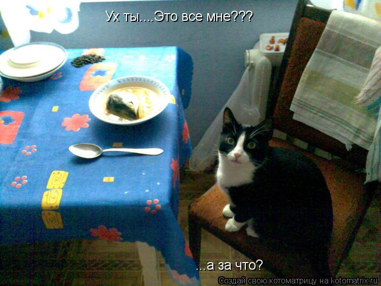 Котоматрица: Ух ты....Это все мне???  ...а за что?