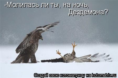 Котоматрица: -Молилась ли ты, на ночь,  Дездемона?