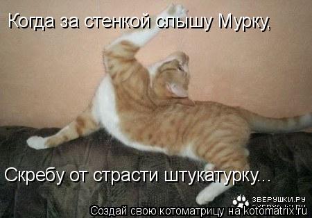 Котоматрица: Когда за стенкой слышу Мурку, Скребу от страсти штукатурку...