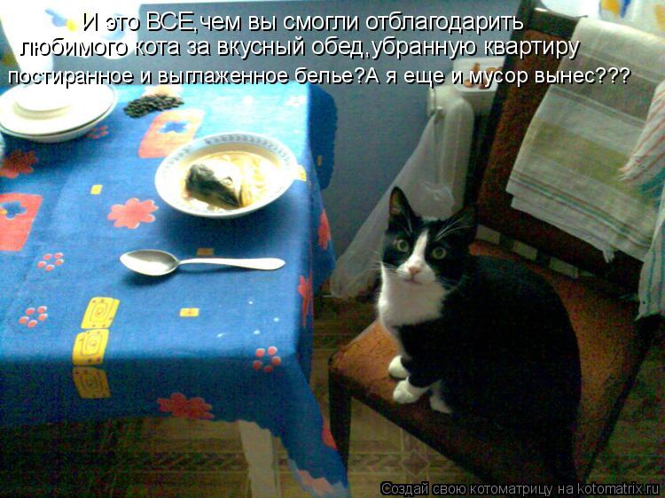 Котоматрица: И это ВСЕ,чем вы смогли отблагодарить любимого кота за вкусный обед,убранную квартиру постиранное и выглаженное белье?А я еще и мусор вынес