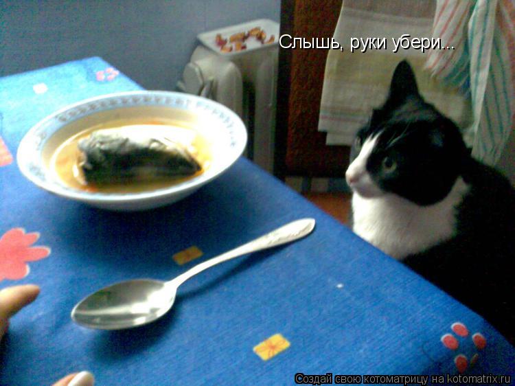 Котоматрица: Слышь, руки убери...