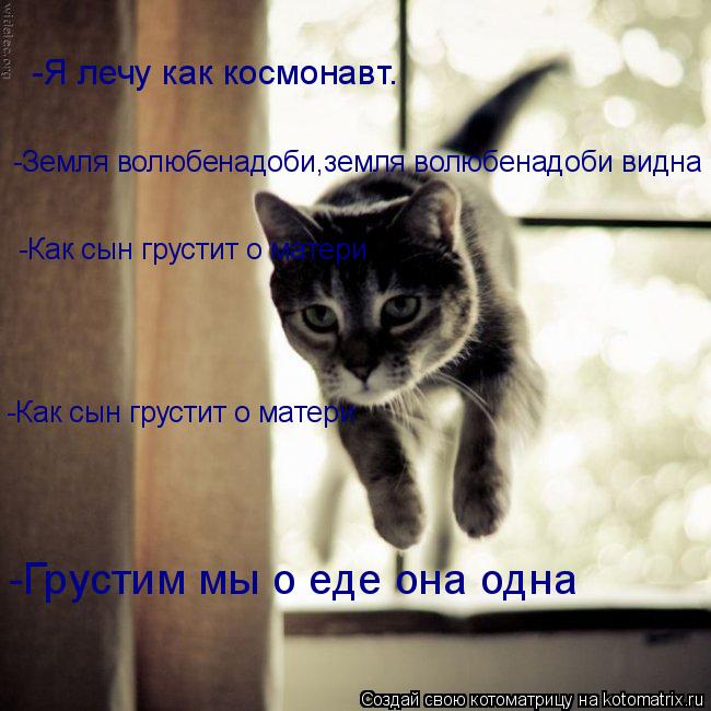 Котоматрица: -Я лечу как космонавт. -Земля волюбенадоби,земля волюбенадоби видна -Как сын грустит о матери -Как сын грустит о матери -Грустим мы о еде она 