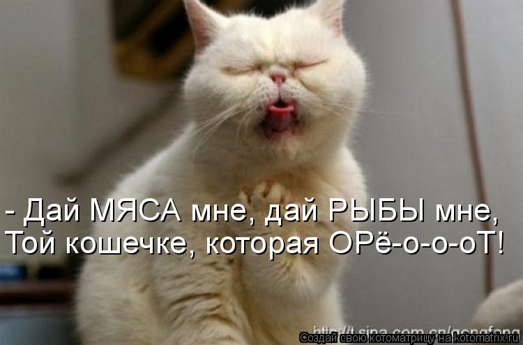 Котоматрица: - Дай МЯСА мне, дай РЫБЫ мне, Той кошечке, которая ОРё-о-о-оТ!