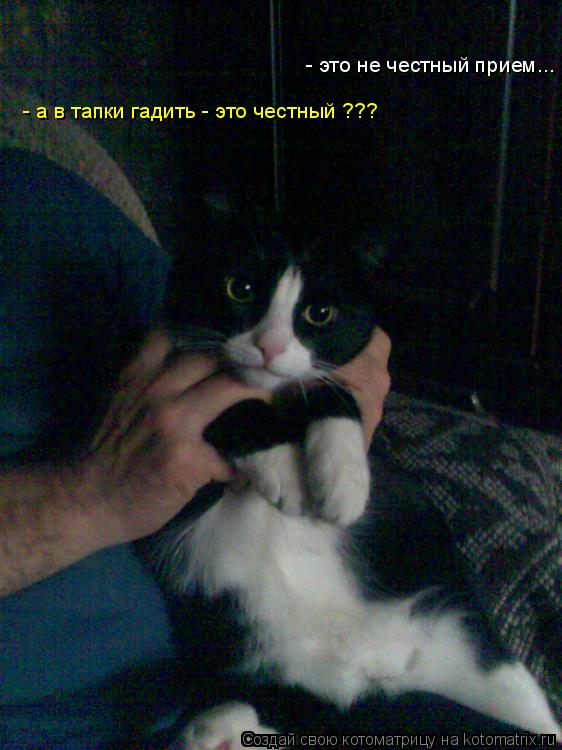 Котоматрица: - это не честный прием... - а в тапки гадить - это честный ???