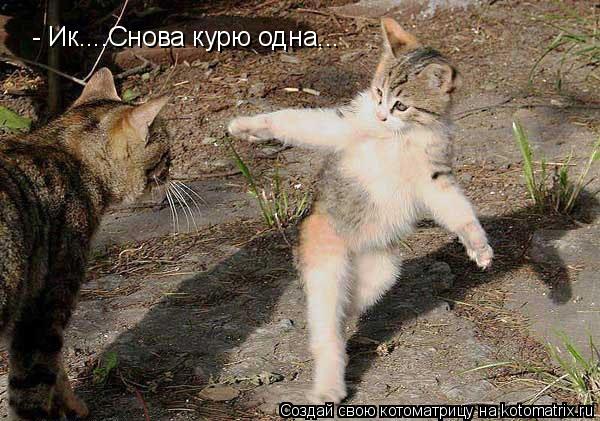 Котоматрица: - Ик....Снова курю одна...