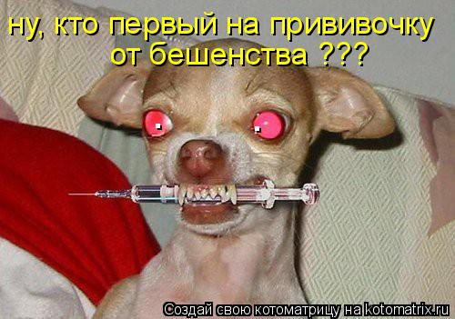 Котоматрица: ну, кто первый на прививочку  от бешенства ??? . .