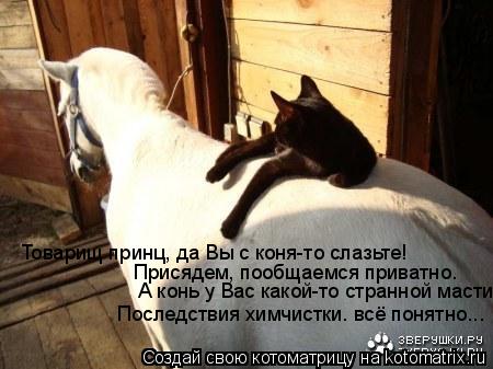 Котоматрица: Товарищ принц, да Вы с коня-то слазьте!       Присядем, пообщаемся приватно…      А конь у Вас какой-то странной масти.     Последствия химчистки…