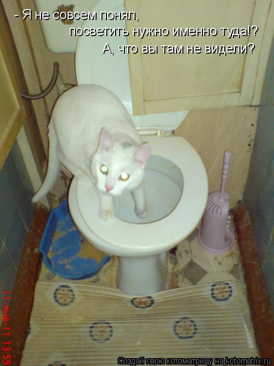 Котоматрица: - Я не совсем понял, посветить именно туда!? - Я не совсем понял, посветить нужно именно туда!? А, что вы там не видели?