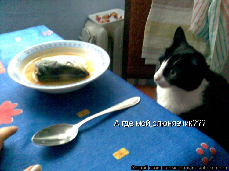 А где мой слюнявчик???... Котоматрица: А где мой слюнявчик???