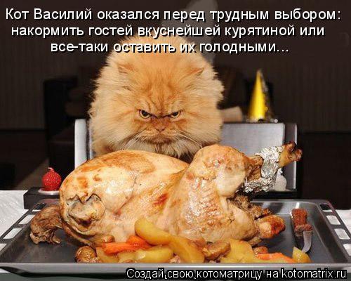 Котоматрица: Кот Василий оказался перед трудным выбором: все-таки оставить их голодными... накормить гостей вкуснейшей курятиной или