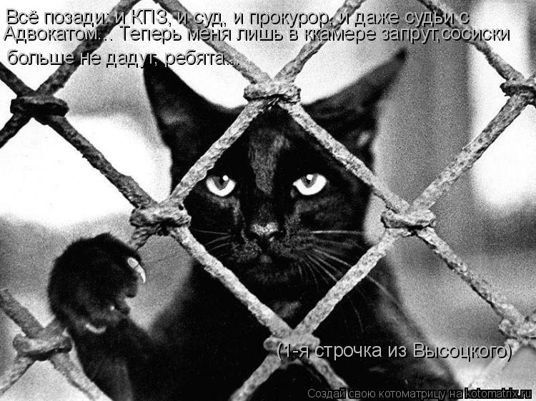 Котоматрица: Всё позади: и КПЗ, и суд, и прокурор, и даже судьи с  больше не дадут, ребята... Адвокатом... Теперь меня лишь в ккамере запрут,сосиски (1-я строчк