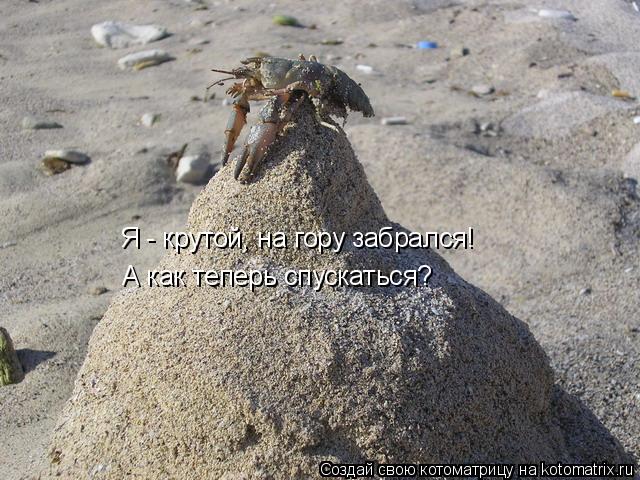 Я - крутой, на гору забрался! А как теперь спускаться?... Котоматрица: Я - крутой, на гору забрался! А как теперь спускаться?