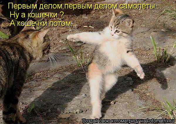 Котоматрица: Первым делом,первым делом самолёты... Ну а кошечки ? А кошечки потом...