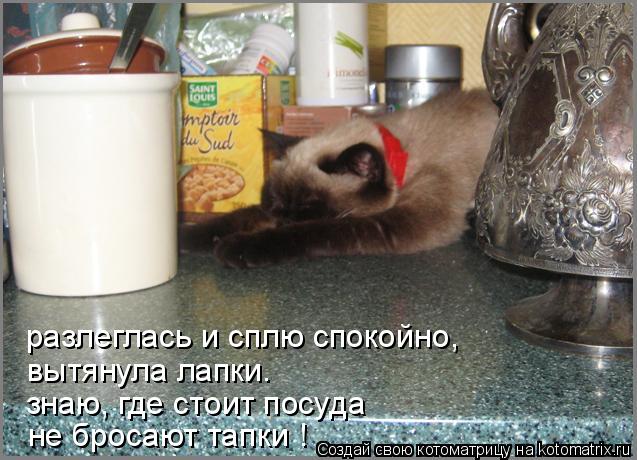 Котоматрица: разлеглась и сплю спокойно, вытянула лапки. знаю, где стоит посуда не бросают тапки !