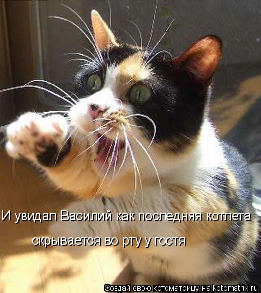 Котоматрица: И увидал Василий как последняя котлета скрывается во рту у гостя