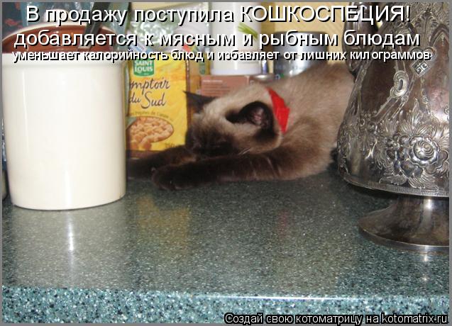 Котоматрица: В продажу поступила КОШКОСПЕЦИЯ! добавляется к мясным и рыбным блюдам  уменьшает калорийность блюд и избавляет от лишних килограммов