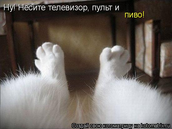Котоматрица: Ну! Несите телевизор, пульт и пиво!