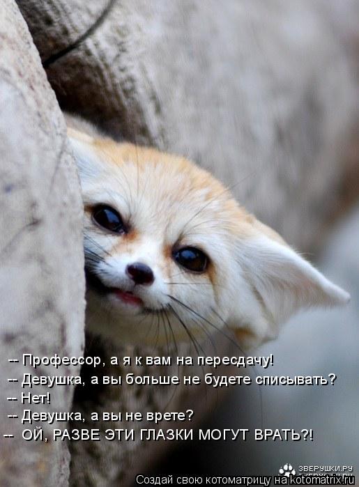 Котоматрица: -- Профессор, а я к вам на пересдачу! -- Девушка, а вы больше не будете списывать? -- Нет! -- Девушка, а вы не врете? --  ОЙ, РАЗВЕ ЭТИ ГЛАЗКИ МОГУТ В
