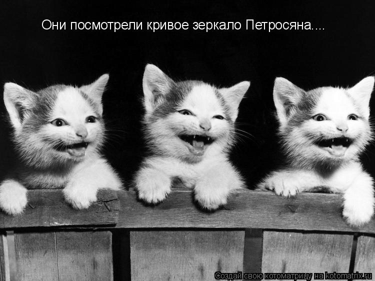 Котоматрица: Они посмотрели кривое зеркало Петросяна....