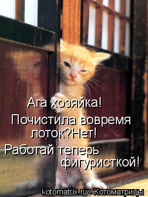 Котоматрица: Ага хозяйка! Почистила вовремя  Работай теперь лоток?Нет! фигуристкой!