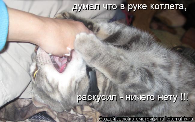 Котоматрица: думал что в руке котлета, раскусил - ничего нету !!!