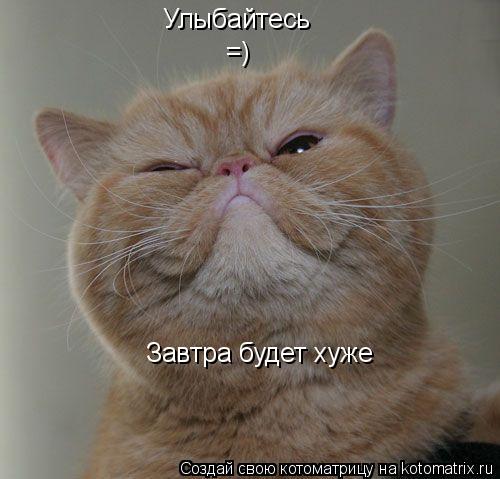 Котоматрица: Улыбайтесь =) Завтра будет хуже