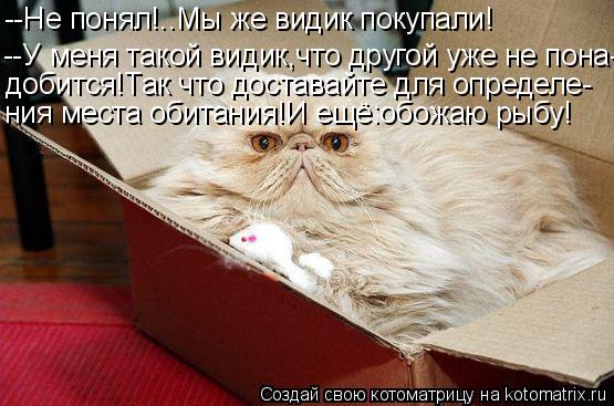Котоматрица: --Не понял!..Мы же видик покупали! --У меня такой видик,что другой уже не пона- добится!Так что доставайте для определе- ния места обитания!И ещ