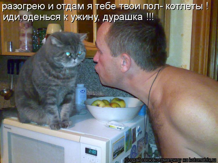 Котоматрица: разогрею и отдам я тебе твои пол- котлеты ! иди,оденься к ужину, дурашка !!!