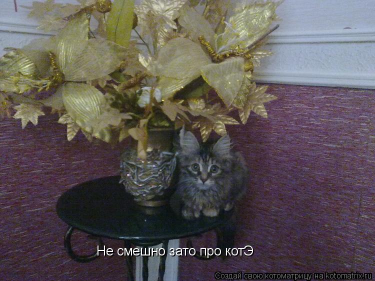Котоматрица: Не смешно зато про котЭ