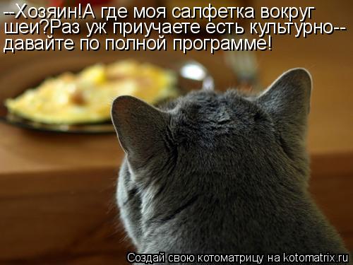Котоматрица: --Хозяин!А где моя салфетка вокруг  шеи?Раз уж приучаете есть культурно-- давайте по полной программе!