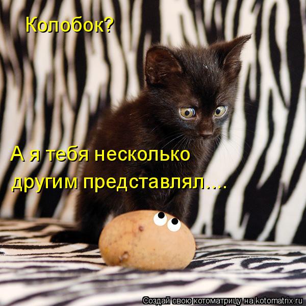 Котоматрица: Колобок?  А я тебя несколько  другим представлял....
