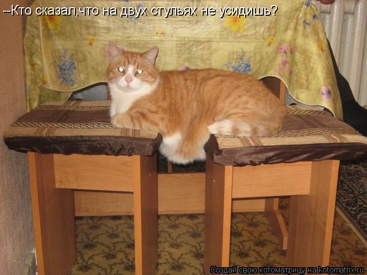 Котоматрица: --Кто сказал,что на двух стульях не усидишь?