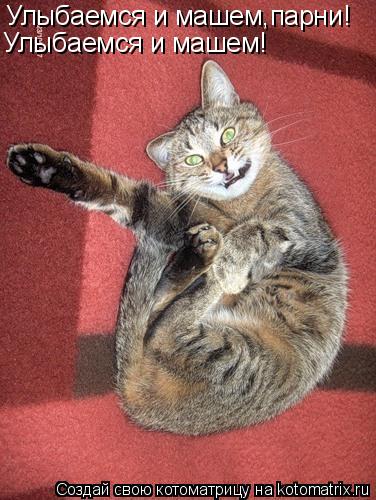 Котоматрица: Улыбаемся и машем,парни! Улыбаемся и машем!