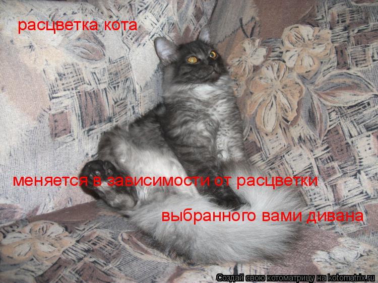 Котоматрица: меняется в зависимости от расцветки  расцветка кота выбранного вами дивана