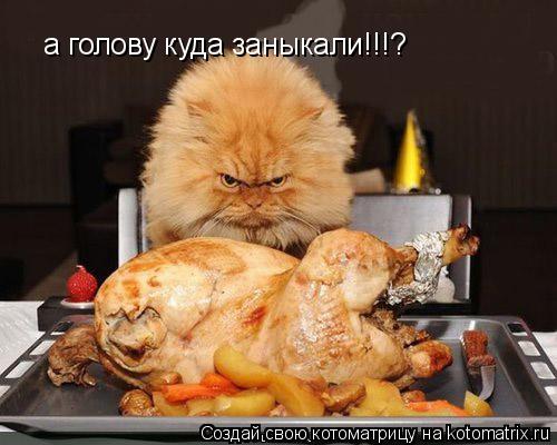 Котоматрица: а голову куда заныкали!!!?