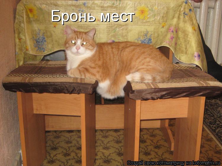 Котоматрица: Бронь мест