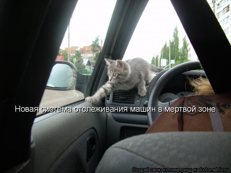 Котоматрица: Новая система отслеживания машин в мертвой зоне
