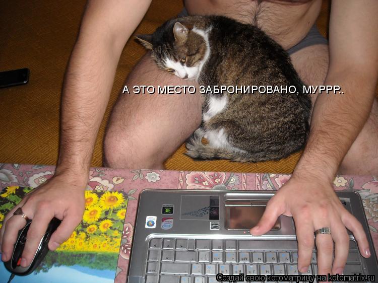 Котоматрица: А ЭТО МЕСТО ЗАБРОНИРОВАНО, МУРРР..