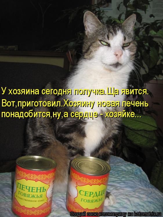 Котоматрица: У хозяина сегодня получка.Ща явится. Вот,приготовил.Хозяину новая печень  понадобится,ну,а сердце - хозяйке...