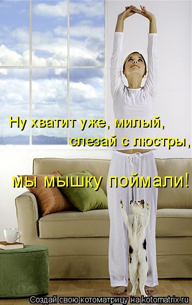 Ну хватит уже, милый, слезай с люстры, мы мышку поймали!... Котоматрица: Ну хватит уже, милый, слезай с люстры, мы мышку поймали!