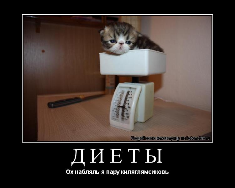 Котоматрица: Диеты Ох набляль я пару киляглямсиковь