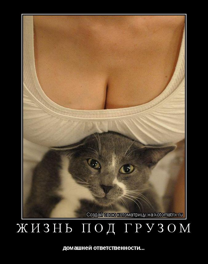 Котоматрица: Жизнь под грузом домашней ответственности...