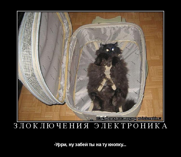 Котоматрица: Злоключения Электроника -Урри, ну забей ты на ту кнопку...