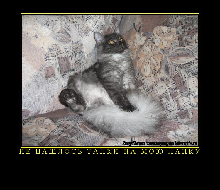 Котоматрица:  