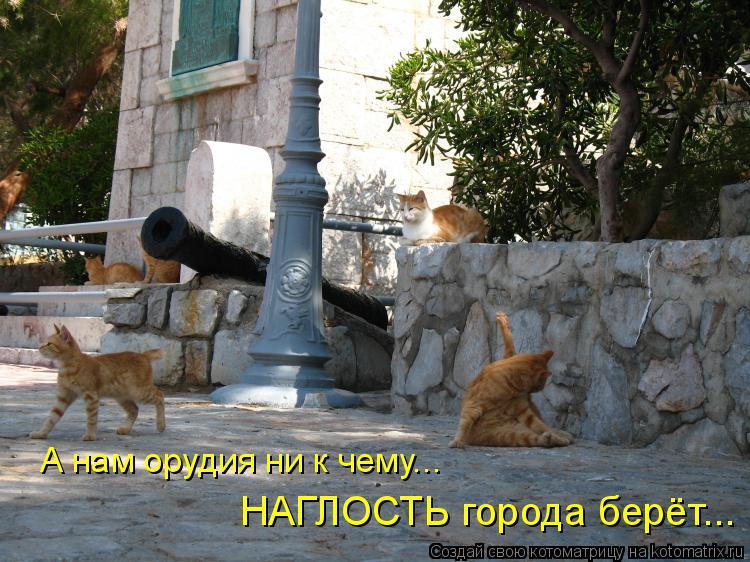 А нам орудия ни к чему... НАГЛОСТЬ города берёт...... Котоматрица: А нам орудия ни к чему... НАГЛОСТЬ города берёт...