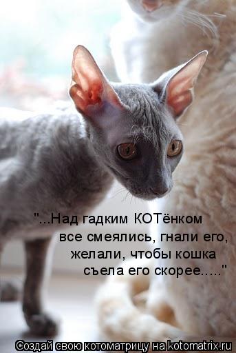 Котоматрица: желали, чтобы кошка  съела его скорее....." все смеялись, гнали его,  "...Над гадким КОТёнком